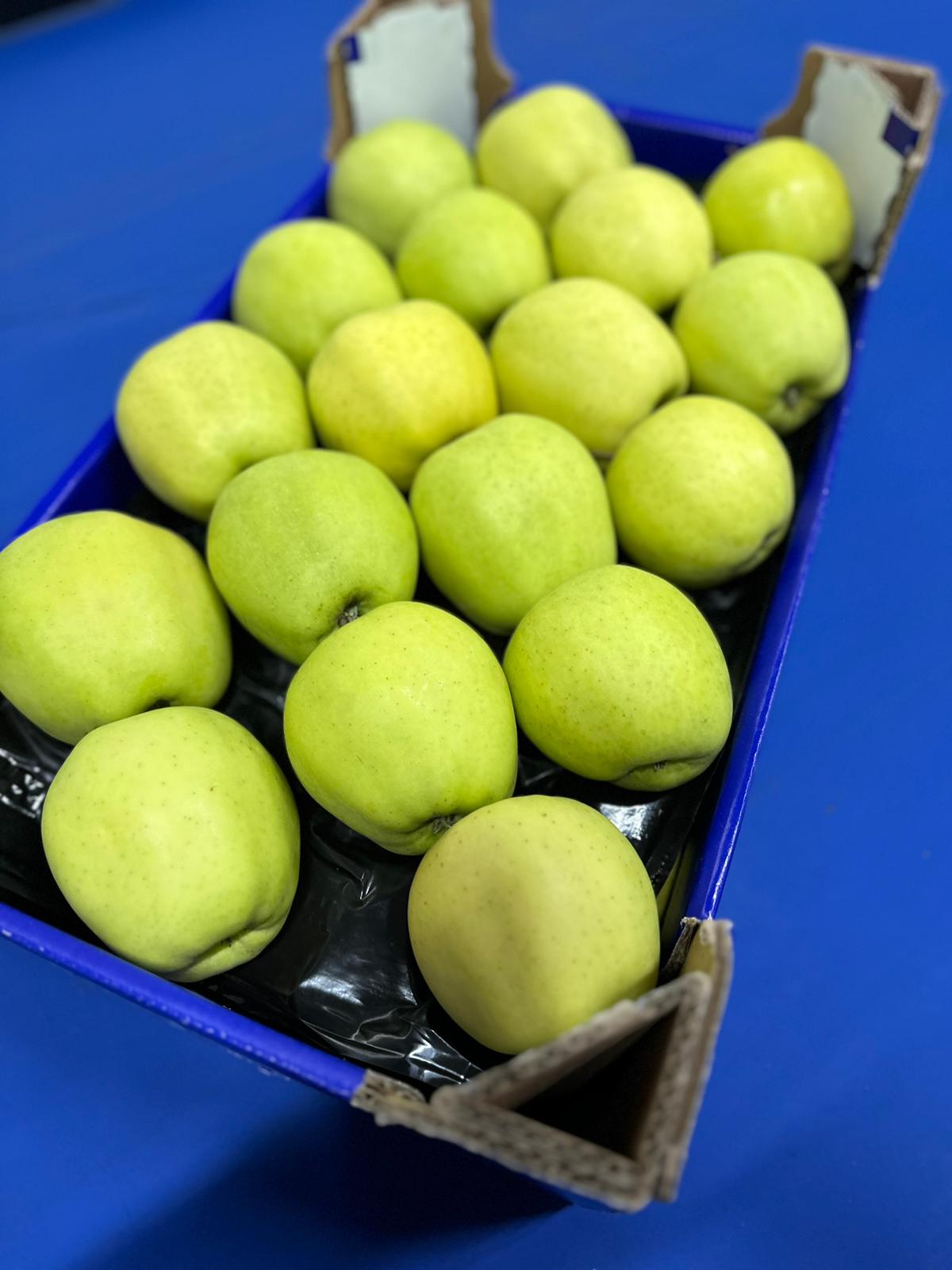 Golden Delicious apples packed in export carton – Grójec, Poland